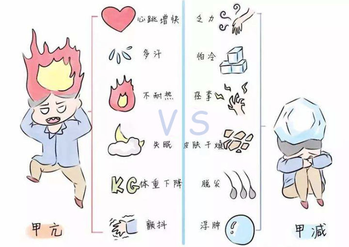 &#26032;&#21033;